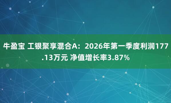 牛盈宝 工银聚享混合A：2026年第一季度利润177.13万元 净值增长率3.87%